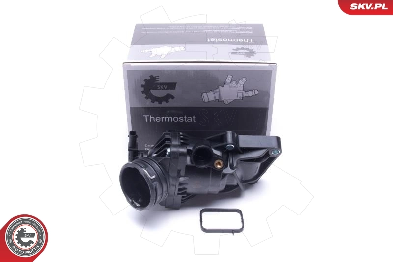 Thermostat, coolant